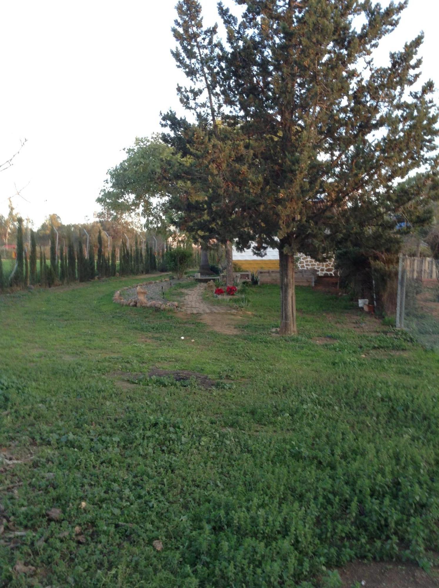 Huerta El Genoves Βίλα Καρμόνα Εξωτερικό φωτογραφία